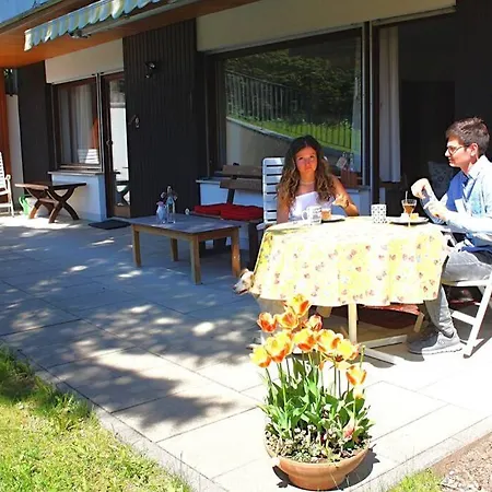 Gemuetliche Mit Sonnenterrasse Apartment Bernau im Schwarzwald